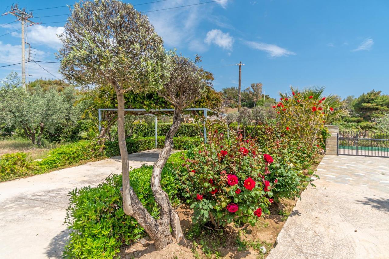 Legrena Beach House Kap Kap Sounion Exterior foto